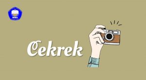 Read more about the article CEKREK